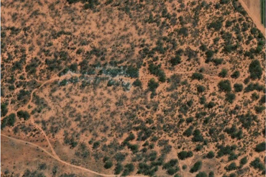 A satellite image shows white patches amongst green trees, indicating where the rubbish dump lies.