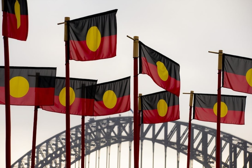 Aboriginal flags fly in the sky with the Sydney Harbour Bridge in the background.