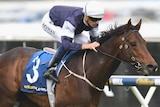 Hugh Bowman riding Amralah to win the Herbert Power Stakes at Caulfield on October 10, 2015.