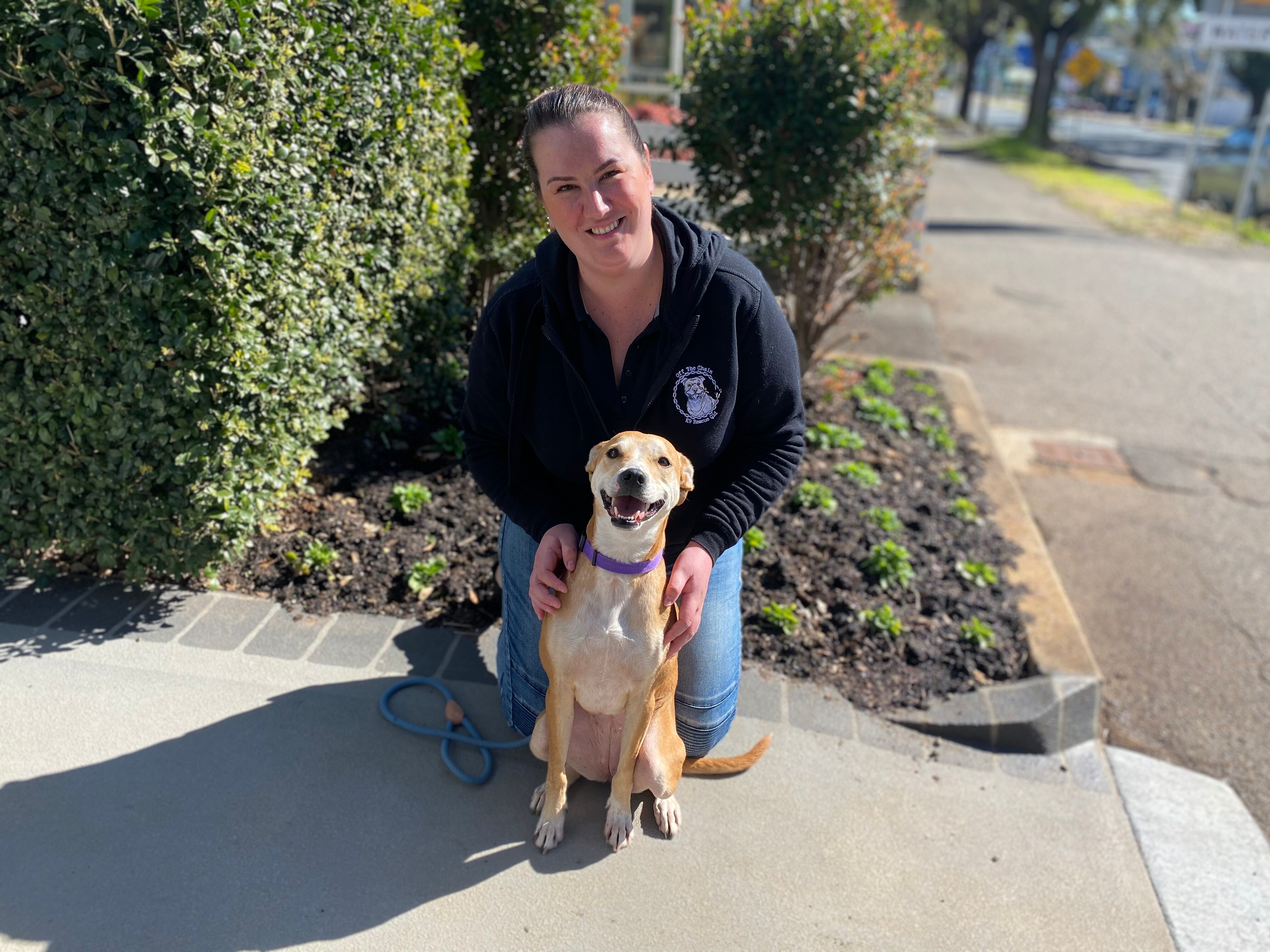 Competitive Rental Market Forces Pet Owners Into Homelessness Abc News