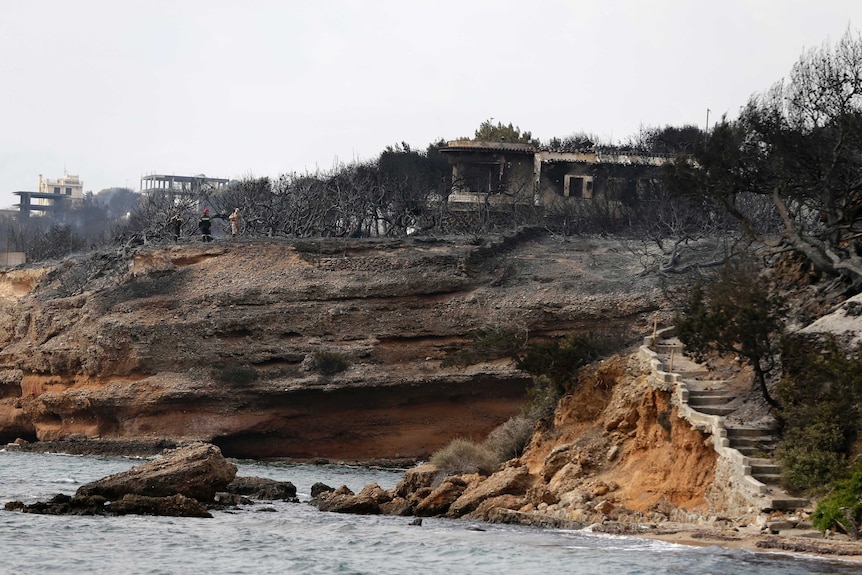 Firefighters stand on a cliff top where burned trees hug the coastline in Mati east of Athens.