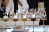 Five beer glasses lined up at the Perth Royal Beer Show.