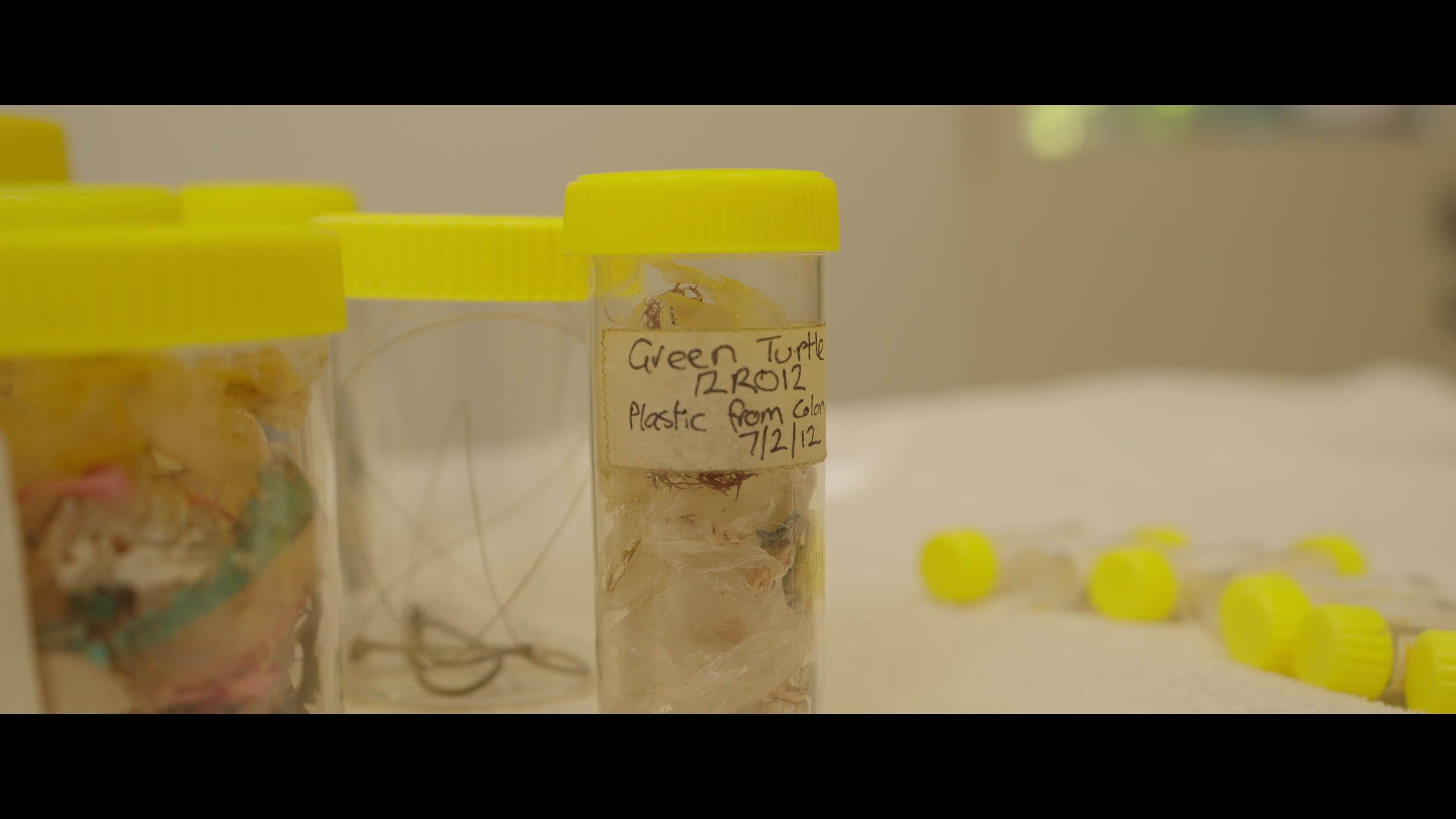Uma foto de um tubo transparente com um recipiente amarelo contendo resíduos plásticos e um rótulo com a inscrição Green Turtle.