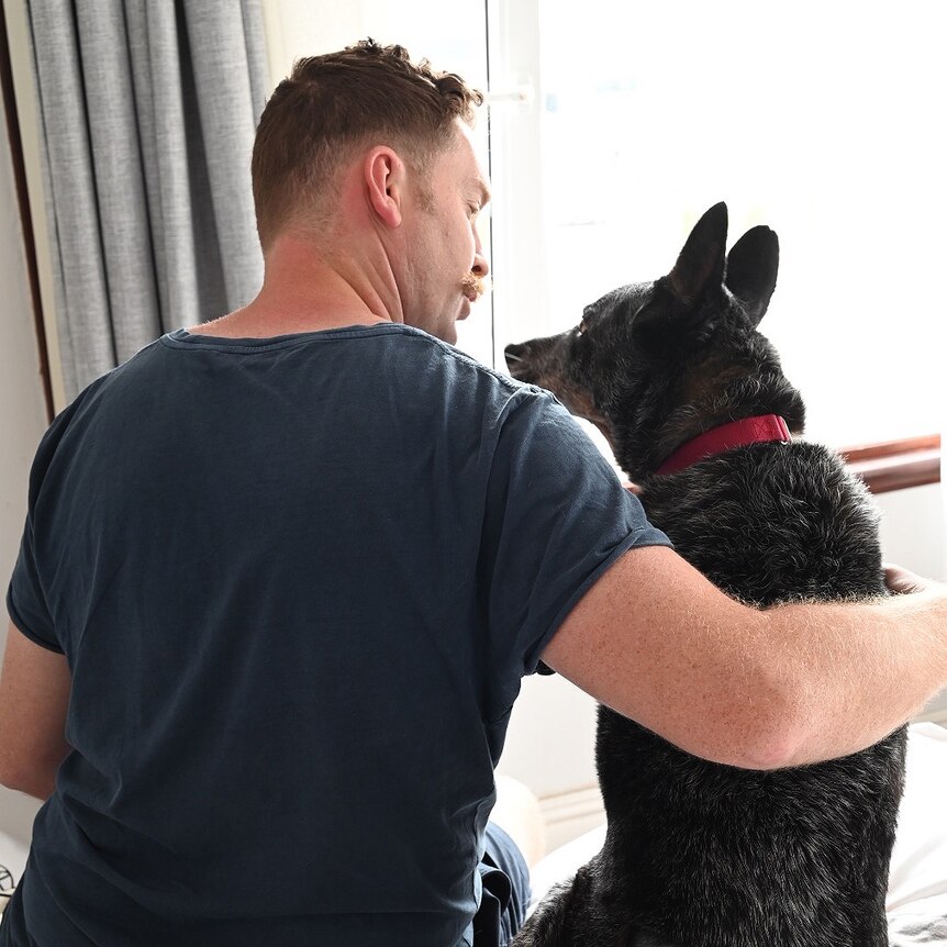 A man and a dog sit on a bed looking at each other as the man has his arm around the dog, with their backs to the camera.