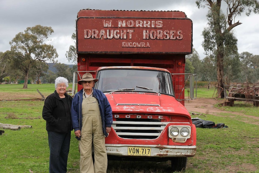 An old man standing in a hat with his hand on hip standing on front of truck saying W Norris Draught Horses