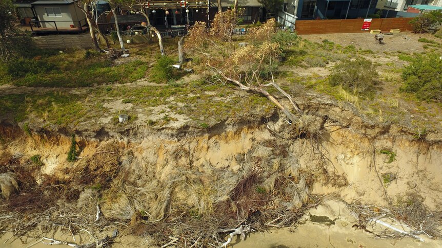 Beach erosion at Lewisham