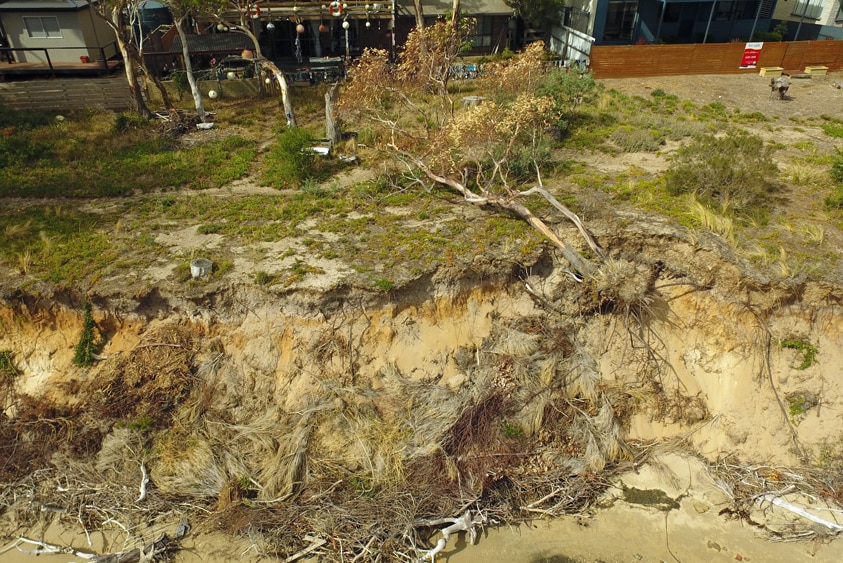 Beach erosion at Lewisham