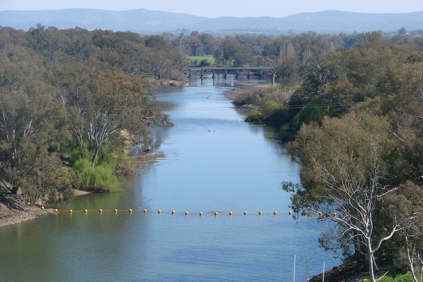 River before the Hume Weir