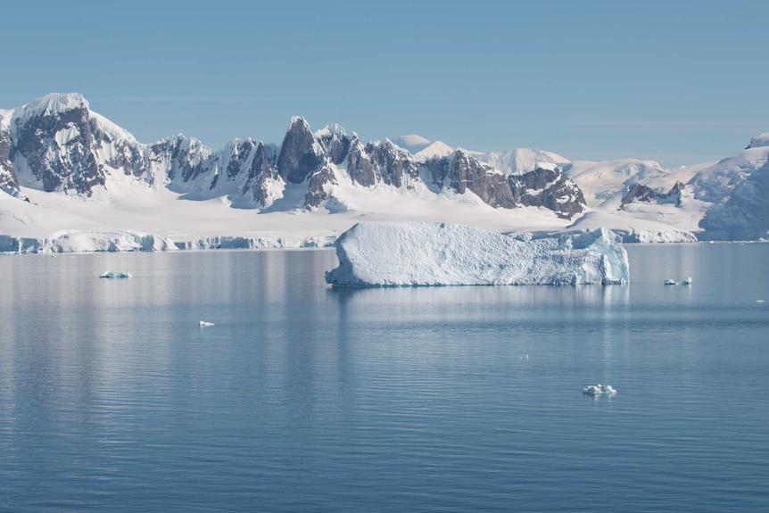 Wilhelmina Bay Antarctica