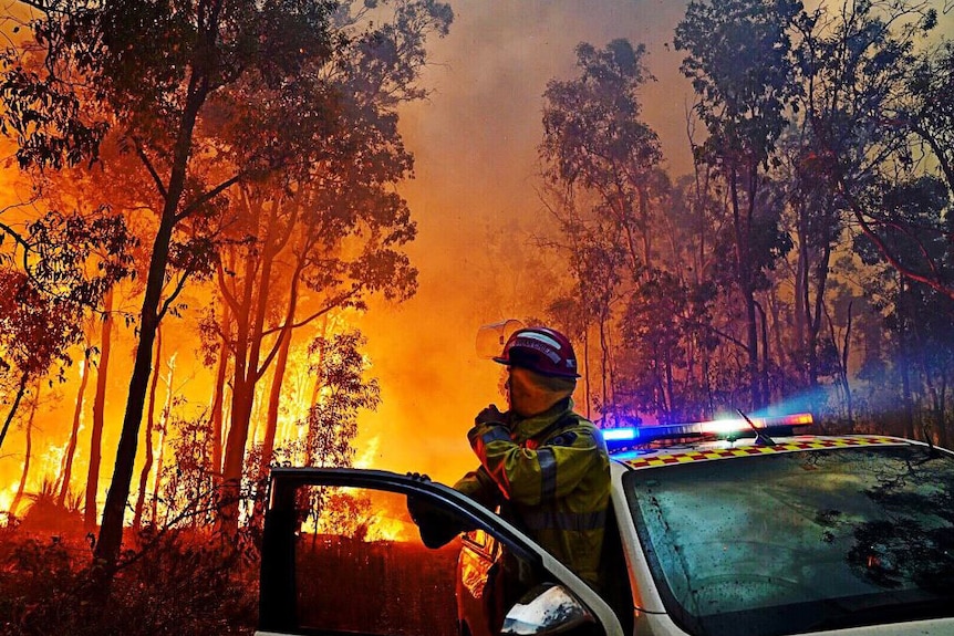 A firefighter hangs out of the door of an appliance looking back over his shoulder at the bushland ablaze with orange fire.