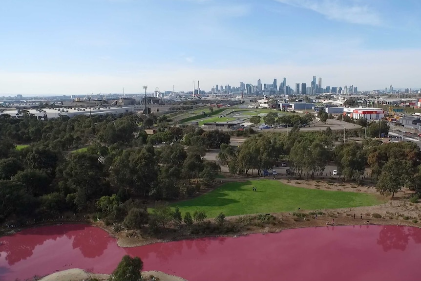 The pink lake in Melbourne with the cityscape in the background.