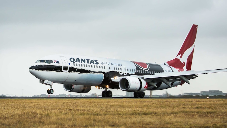 The 737 aircraft decorated with Indigenous art is expected to carry about 5 million people during its lifetime.