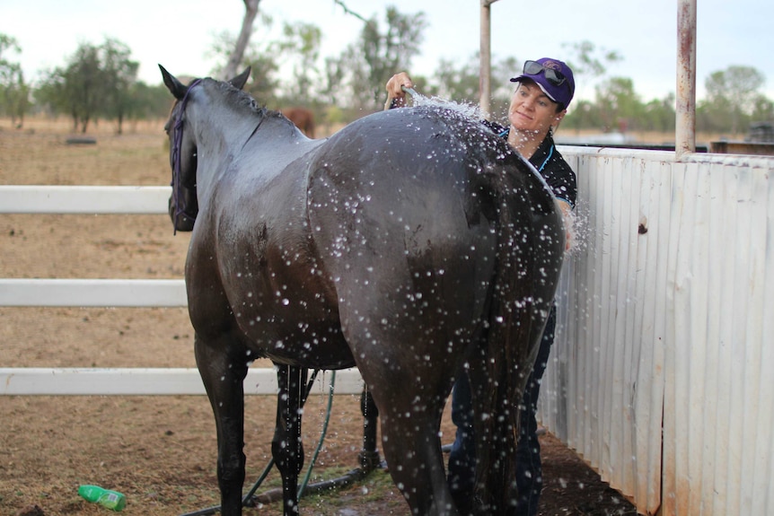 a woman washing a black horse with a hose