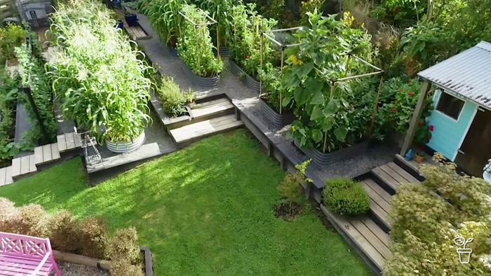 Aerial view of a garden with decking walkways and productive garden beds