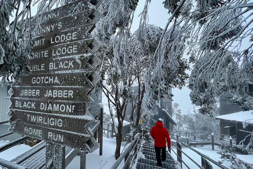 A person in a red ski jacket walks down a snow covered wooden raised path, with signs pointing to different slopes