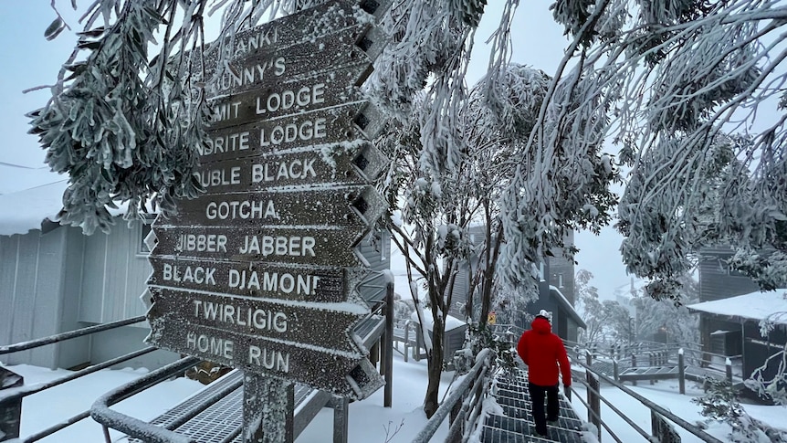 A person in a red ski jacket walks down a snow covered wooden raised path, with signs pointing to different slopes