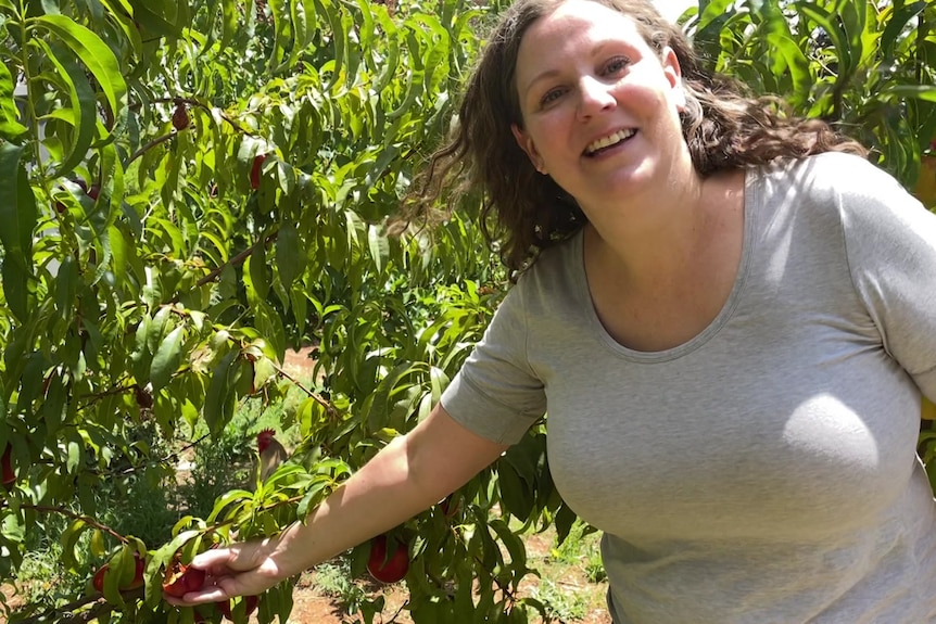 A white woman in a grey shirt smiles as she picks an apricot from her tree.