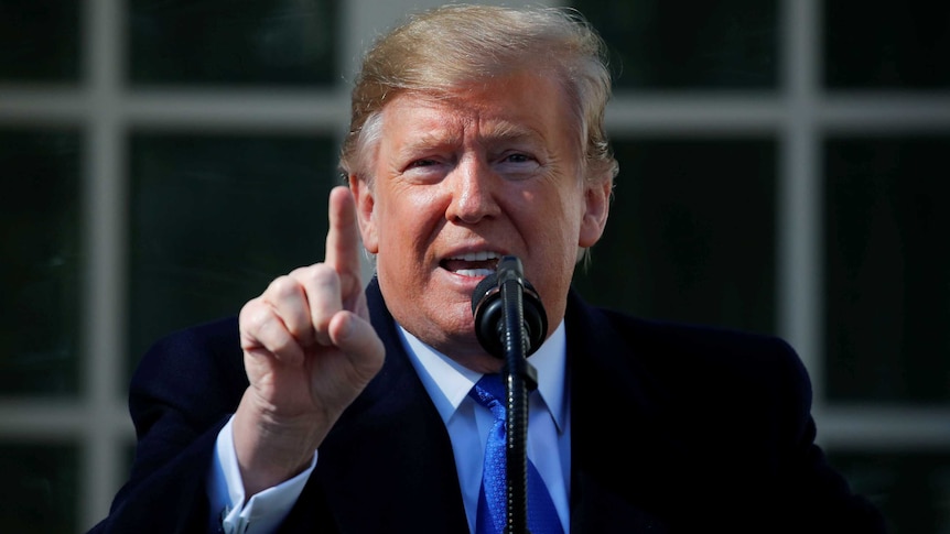 Donald Trump speaking in the Rose Garden of the White House