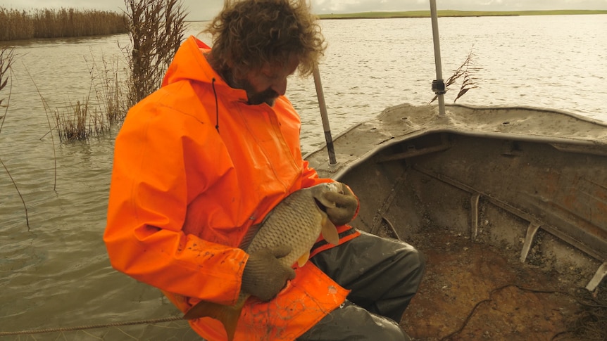Fisherman Glen Hill wearing a fluoro orange rain jacket, sitting in a fishing boat and stroking a carp.