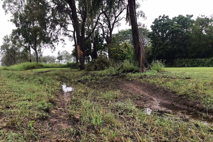 Tyre marks showing where an ambulance left Mackay Eungulla Road and rolled before hitting a tree.