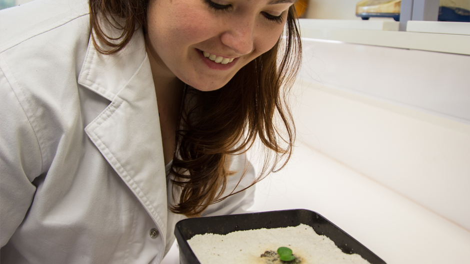 Dr Alison Ritchie with a Banksia seedling