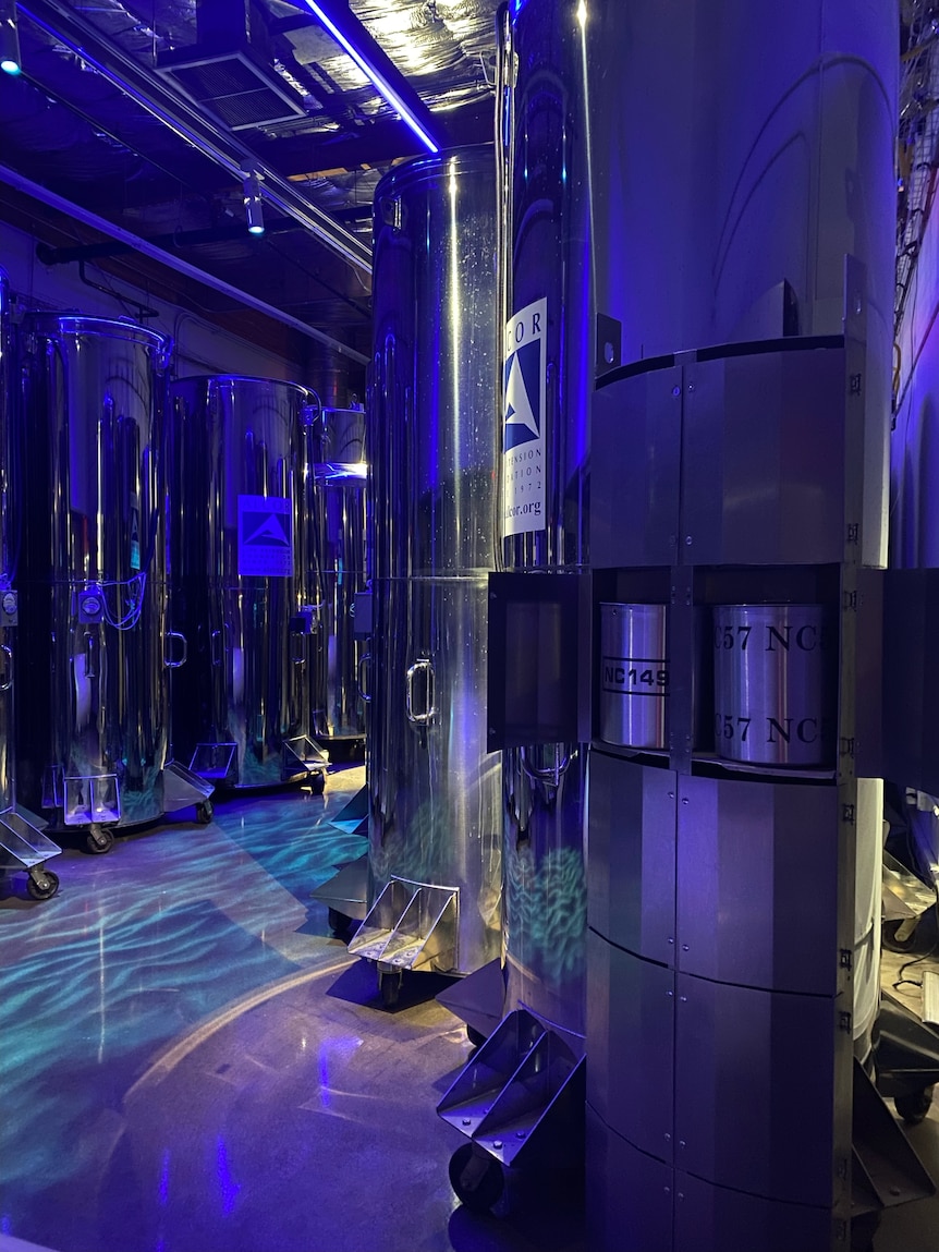 Brain-sized cryogenics chambers shown at Alcor Life Extension Foundation.