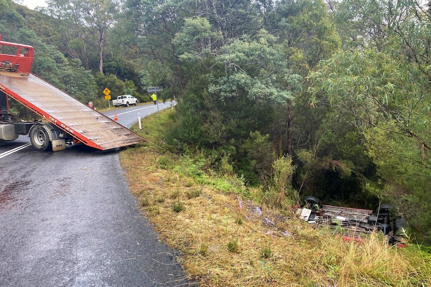 A car lies upside down in bushes