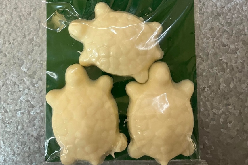 White chocolate turtles