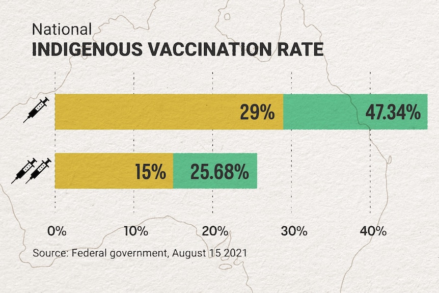 A chart showing vaccination rates.