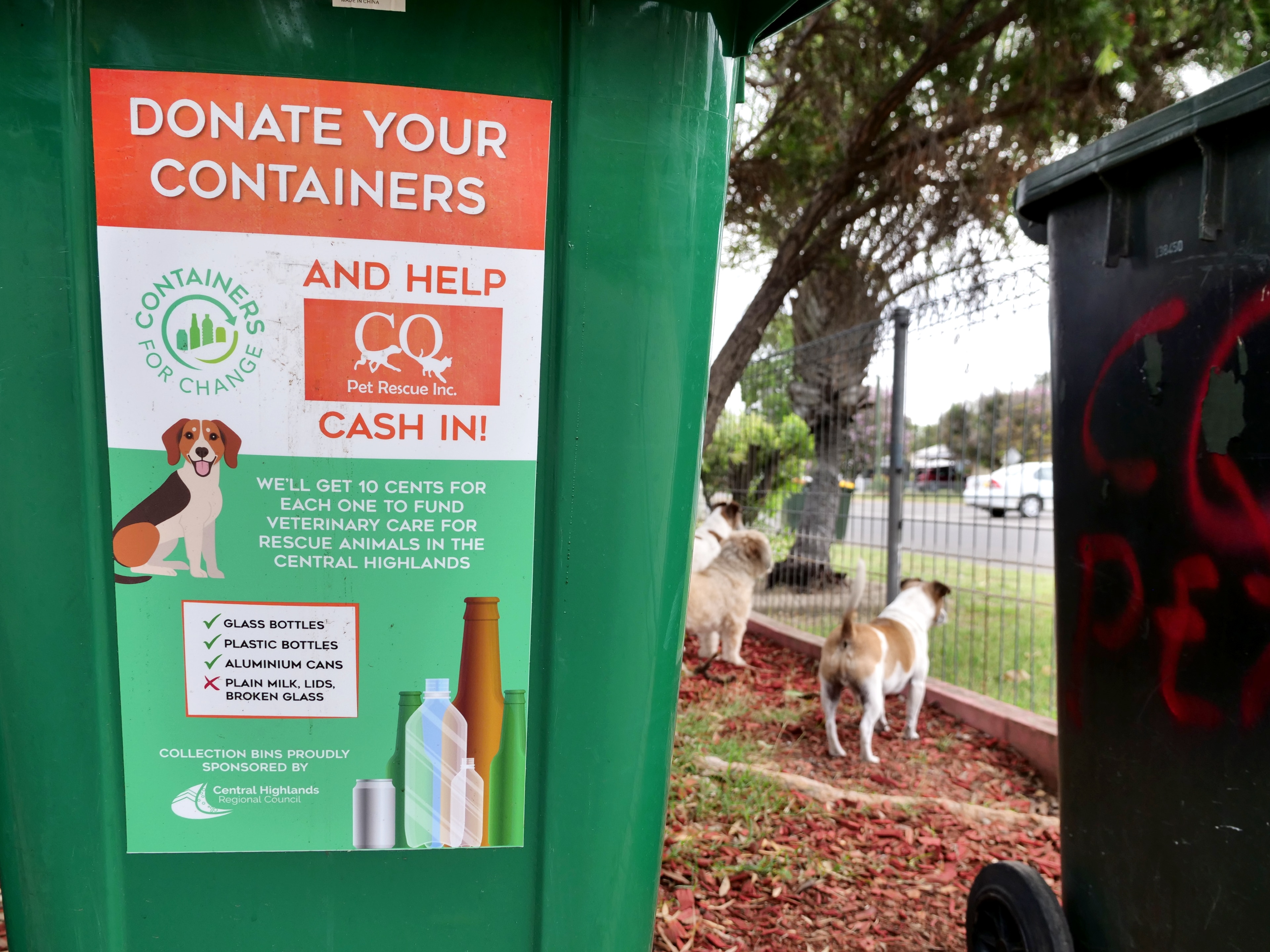 A close up of a green bin with a sticker advertising the container refund scheme, there are small dogs in the background