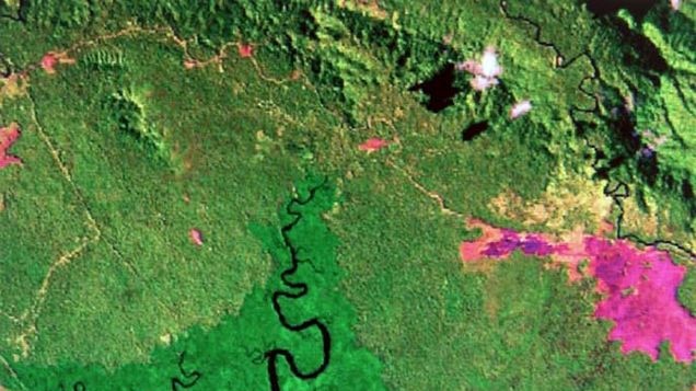 The variation in oil palm in Milne Bay, on the south-east tip of the PNG mainland. Top image: 1990, bottom image: 2005