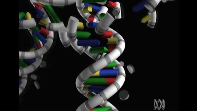 Computer model of DNA spiral structure