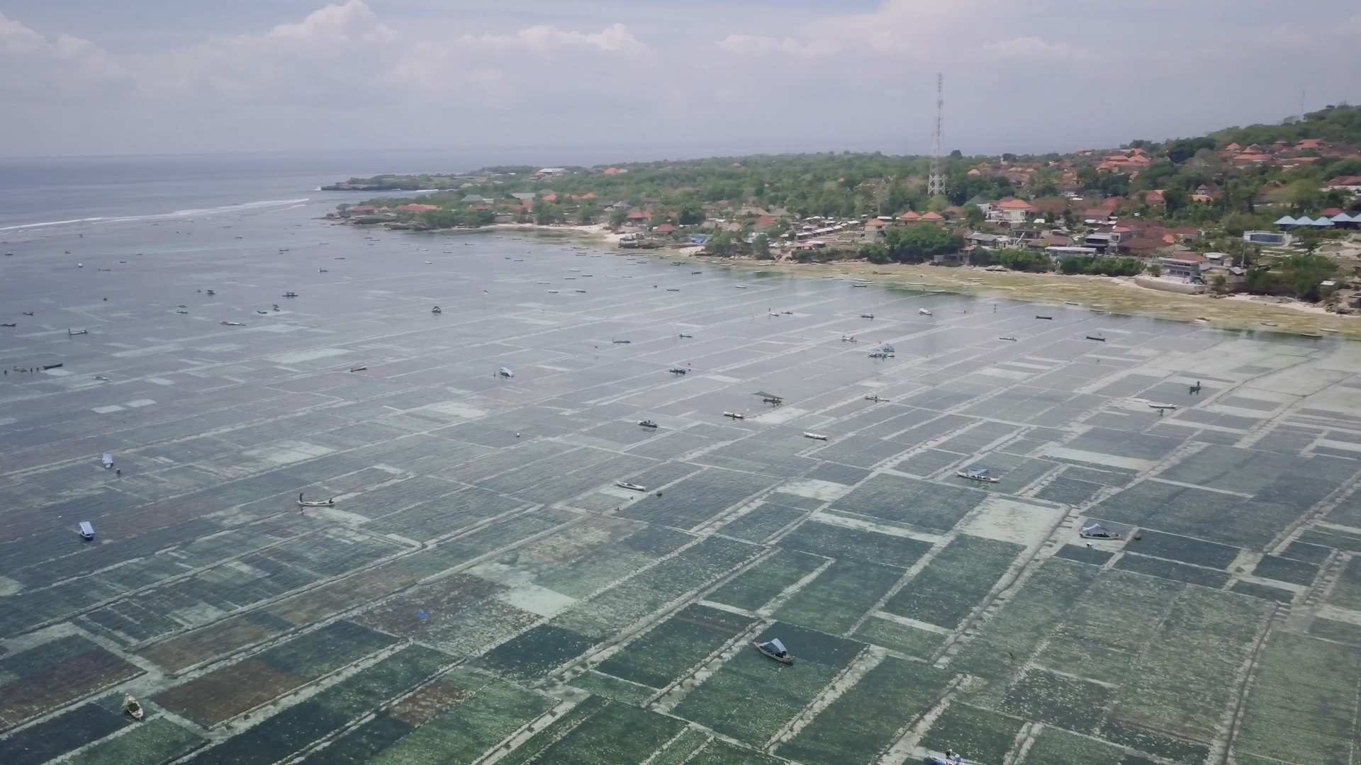 Play Video. Duration: 16 seconds