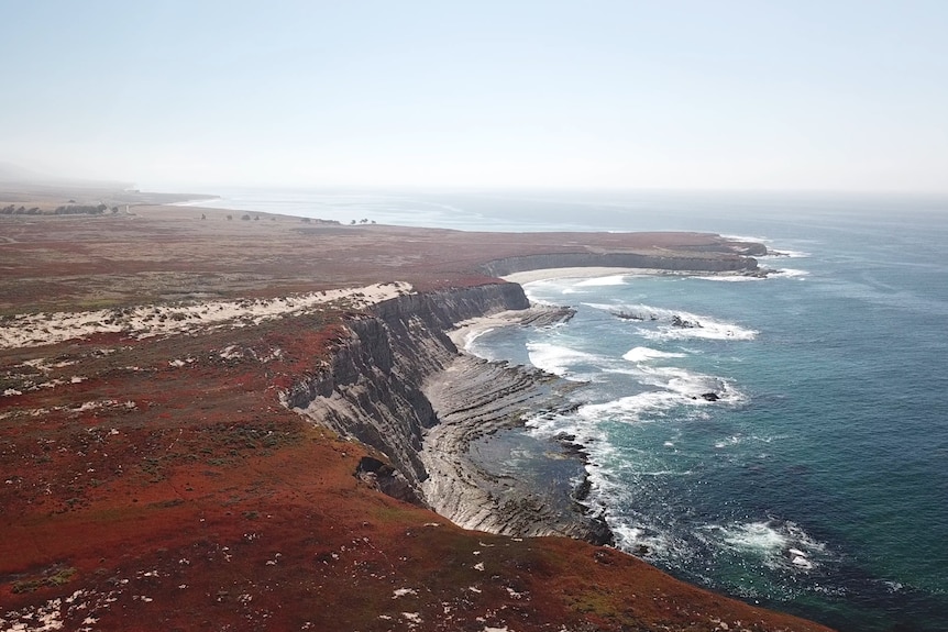 View from a height of a stretch of coastline with cliffs, and no man-made constructions in sight.