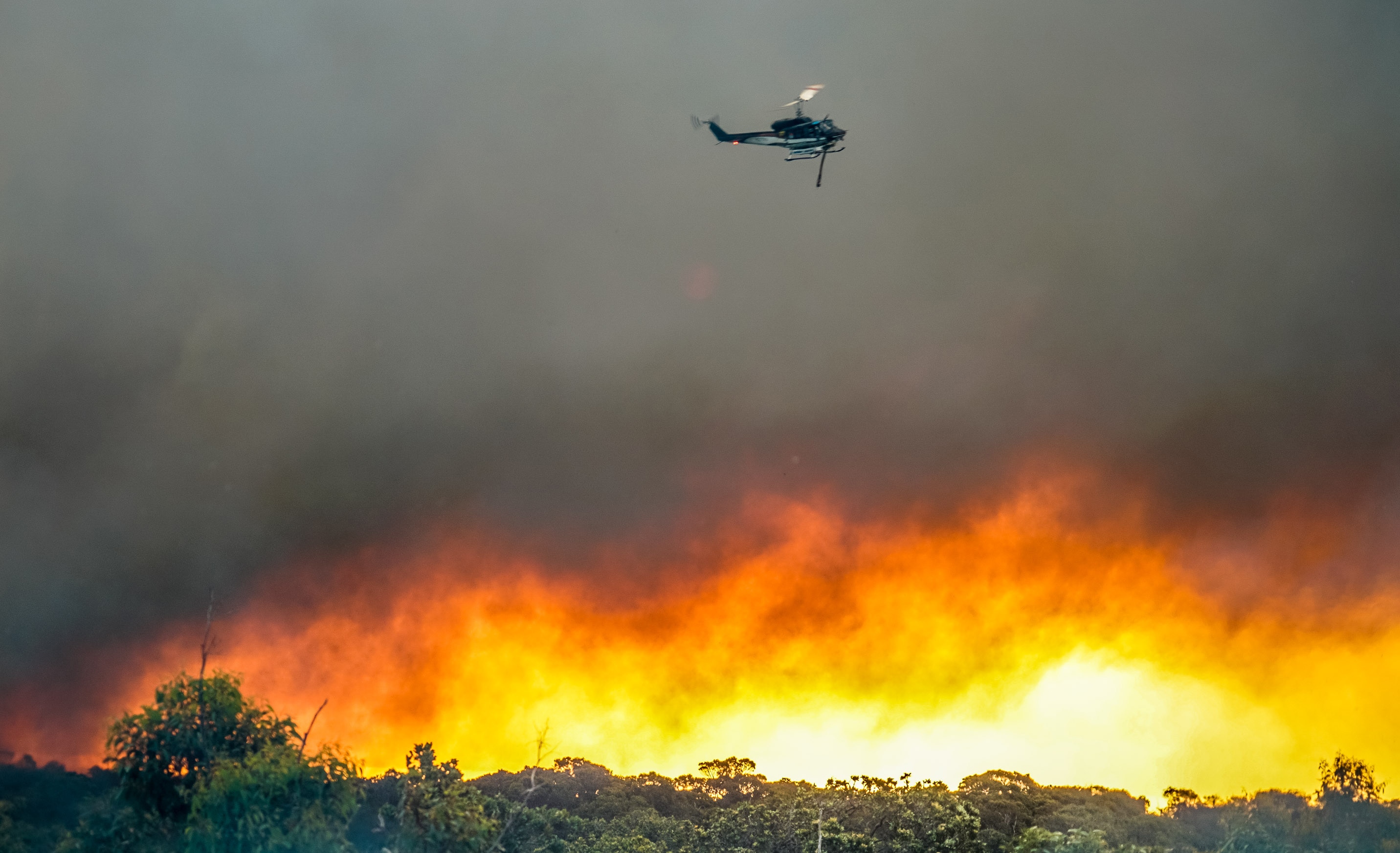 A helicopter water bomber flies over flames and forest in WA's South West as a bushfire burns.