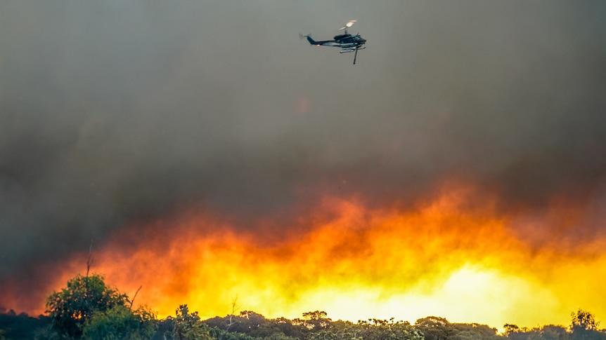 A helicopter water bomber flies over flames and forest in WA's South West as a bushfire burns.