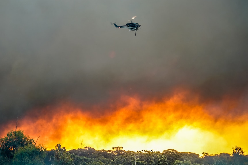 A helicopter water bomber flies over flames and forest in WA's South West as a bushfire burns.