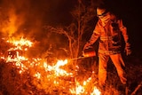 A firefighter carries out back-burning operations in the Blue Mountains
