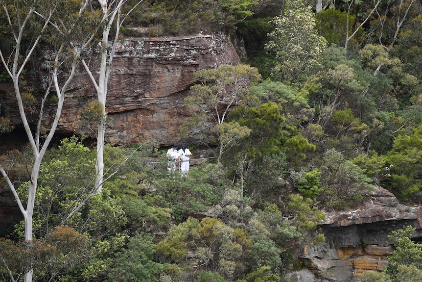 Rescuers in the national park