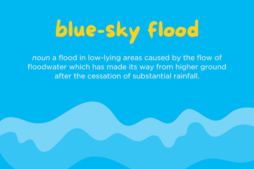 A blue background with waves and writing that describes the term blue sky flood