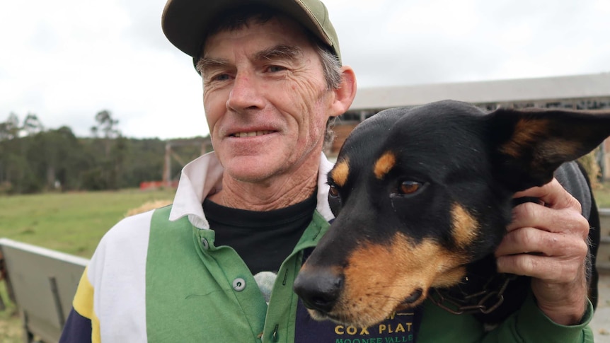 The farm's working dog Murray accompanies country jockey Robert Thompson on his daily rounds tending his cattle.