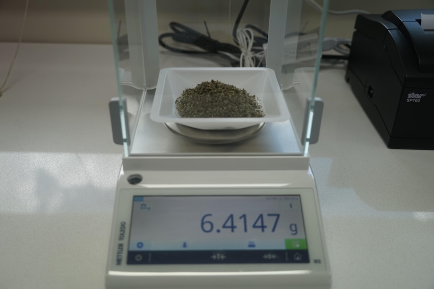 A batch of synthetic cannabis is weighed on a set of scales.