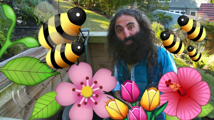 Gardening Australia's Costa Georgiadis surrounded by bee and flower emoji