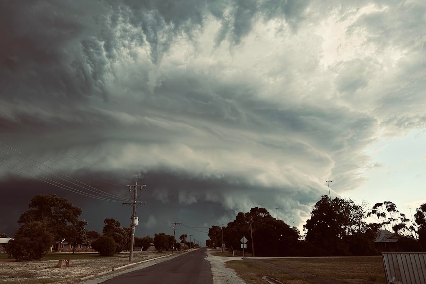 large, dark storm clouds cover the sky above some trees