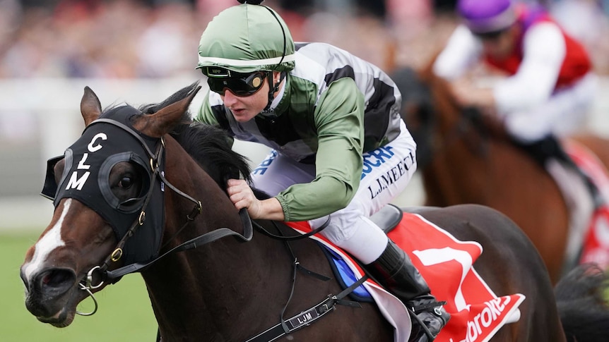 A female jockey hunches over her horse's neck, her hands on the reins, pushing it on to victory.