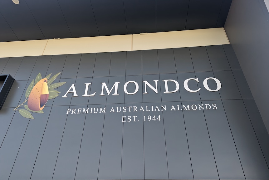 A name of company reading almandco with an image of a shelled almond next to A. 