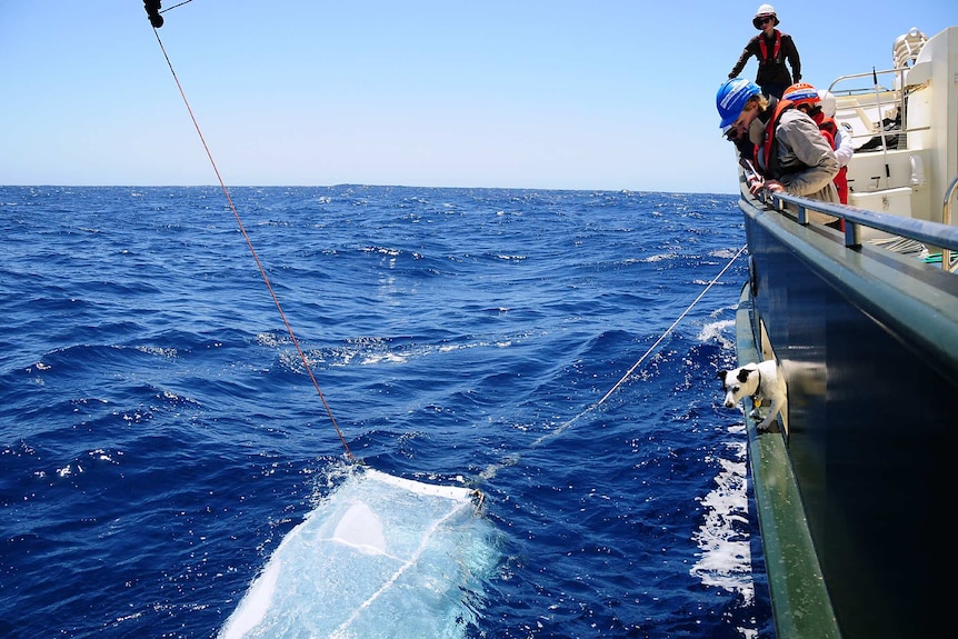 Crew and a dog on a boat at sea look overboard at a net in the water.