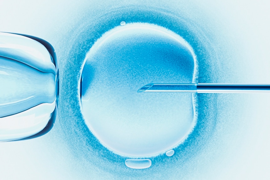 Close up image in light blue and white of a needle entering a circular blob.