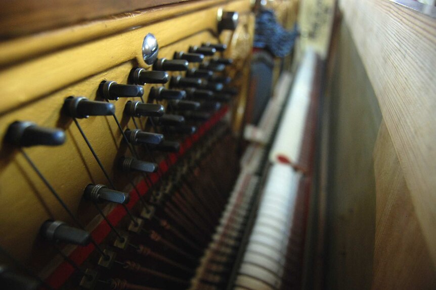 The fine tuning pins inside a piano.