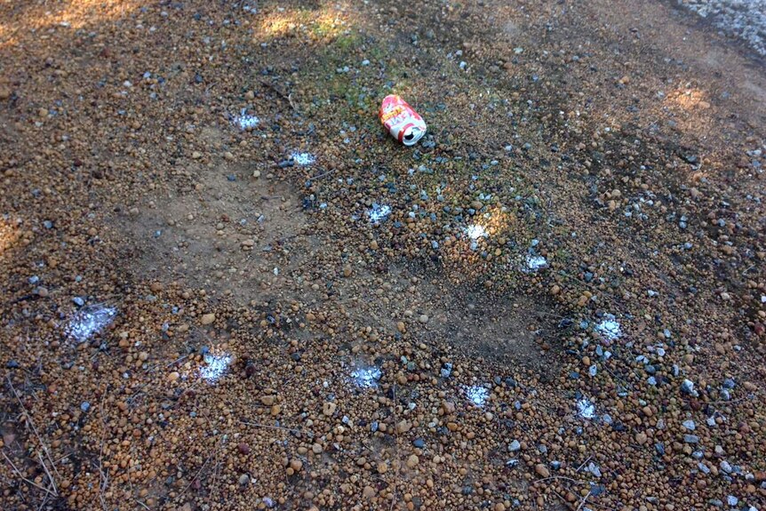 A stretch of regional highway with dots spray painted on the road side next to a beer can.